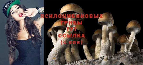 ПСИЛОЦИБИНОВЫЕ ГРИБЫ Нефтегорск
