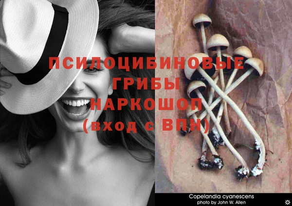 jwh Нея