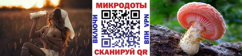 darknet как зайти  Крым  Галлюциногенные грибы ЛСД  наркота 